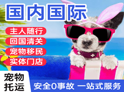 三沙永兴机场空运国际宠物托运 【国